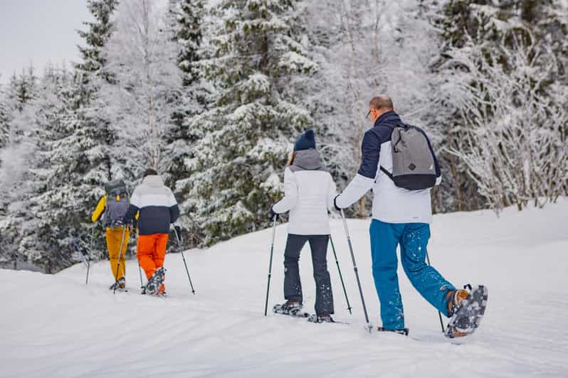 Cozy way to explore winter trails snow limo